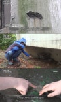 물 새고, 분뇨 넘치는 ‘월세 100만원’짜리 부영 임대아파트
