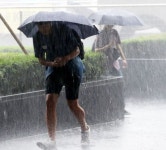 ‘부슬비’였던 한국 봄비, 이젠 ‘스콜’처럼… 아열대화?