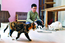 집의 절반을 고양이에게 내준 산새마을의 “애묘남”