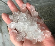 [영상] 5월 말에 내린 우박…대구 시민들 ‘생전 처음보네’