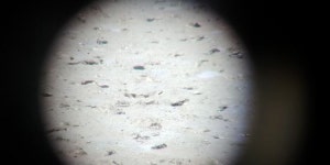 장애인가족 힐링여행 명소 ‘영종도 씨사이드파크 송산유수지’ 관심고조