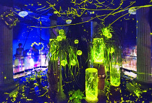 [여행 단신] 수안보파크호텔 수영장 개장