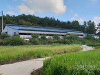 영암 축사서 모자 흉기로 살해한 50대 용의자 검거