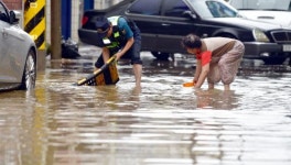 [포착] ‘시간당 73㎜’ 폭우에 난리난 광주 침수 상황
