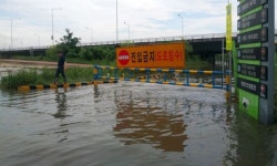 잇따른 비에 낙동강 하류 일부 범람…부산 도로 2곳 통제