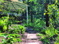 해충 방지 식물·먹거리 식물… 동탄에 ‘맛있는 숲 정원’