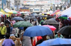 [포토]우산 가득한 청과물시장