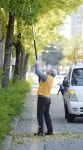 길거리 악취의 주범 은행나무 터는 관계자들