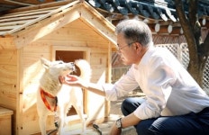 북에서 온 송강·곰이가 문 대통령을 만나는 순간(영상)