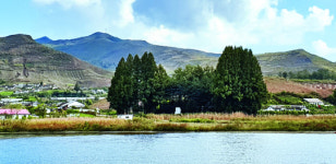 [북녘땅 살리는 생명나무를 보내자] 개간하고 땔감으로 베고… 민둥산이 병풍처럼 이어져
