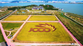 황금 들판에 새긴 ‘전라도 정도 1000년’