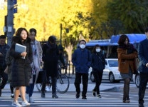 [포토]가을에 찾아온 불청객