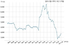 셀바스헬스케어 특허권 취득