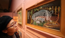 2019년 새해 ‘행복한 돼지’ 보고 행복해지세요∼