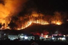 [포토] 양양서 산불… 주민 대피