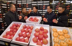 설 앞두고 청과물 공판장 찾은 김병원 농협중앙회장