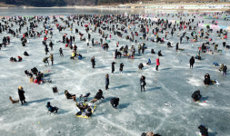 “250만명 낚았다” 화천산천어·평창송어축제 대박 행렬