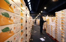 품질 좋은 과일들 여기있어요! 분주한 시장 상인들