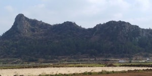 추사체의 비밀 풀어주는 서귀포 ‘단산’에 올라가 보셨나요