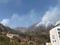 부산 사하경찰서, 승학산에 불 두번 지른 50대 방화범 검거 