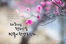 [캘리] 봄의 향기
