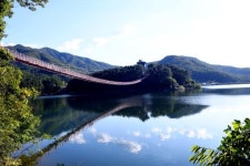 “따스한 봄날의 주말, 파주시로 나들이 오세요”