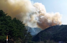 잇따른 산불... 강원 인제 산불 발생