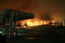 속초 LPG 주유소 뒤 까지 내려온 산불