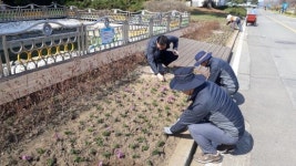 인천항만공사, 인천항 갑문지역 봄맞이 꽃단장