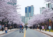 ‘빨간 벽돌’ 위수감옥, 서대문형무소 축소해 놓은 듯