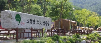 단양 오토캠핑장 방문객 발길 