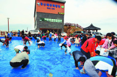 제철 물가자미·영덕대게 청정 동해를 먹고 즐기다… 영덕물가자미축제