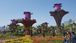 2019고양국제꽃박람회, 26일부터 일산호수공원서 개최