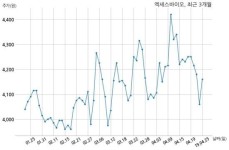 [코스닥] 엑세스바이오 80억원 규모 전환사채 발행 결정