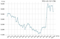 엔에스쇼핑, 특별관계자 지분변동