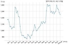 영우디에스피, 특별관계자 지분변동