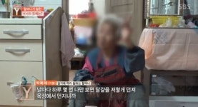 “평택 계란 테러 당한 할머니, 경찰은 뭐했나” 靑 국민청원