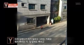 “평택 계란 테러 당한 할머니, 경찰은 뭐했나” 靑 국민청원