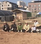 경기도 1호 공영도시농업농장 조성… 도시농부 약 400가구 농사 지어