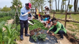 영종국제도시 씨사이드파크 염전체험도 하고 텃밭도 가꾸고