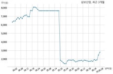 거래소, 삼보산업에 현저한 시황변동(주가급등)관련 조회공시 요구
