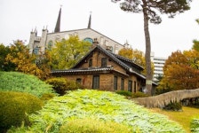 [포토] 고향의 맛과 정이 넘치는 대구시 칠성시장과 청라언덕