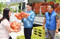 ‘몸에 좋고 값도 싼 양파’, “제발 많이 드세요”