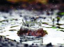 [포토 카페] 생명의 근원