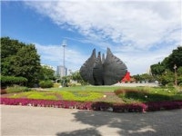 천연잔디가 뒤덮은 잠실운동장 일대