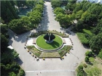 천연잔디가 뒤덮은 잠실운동장 일대