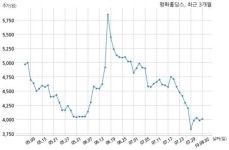 평화홀딩스 269억원 규모 채무보증 결정