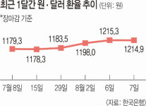 환율 1215원 직전 멈춤… 정부 개입 의지·중 통화발행 소식에 진정세