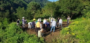 [포토]농촌봉사 구슬땀 흘리는 온누리교회 성도들