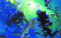 [앵글속 세상] ‘도시의 바다’ 돌보는 사람들… 보이나요? 우리의 땀이